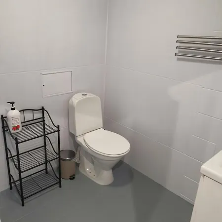 Suur-sepa Suvekorter Apartment Parnu